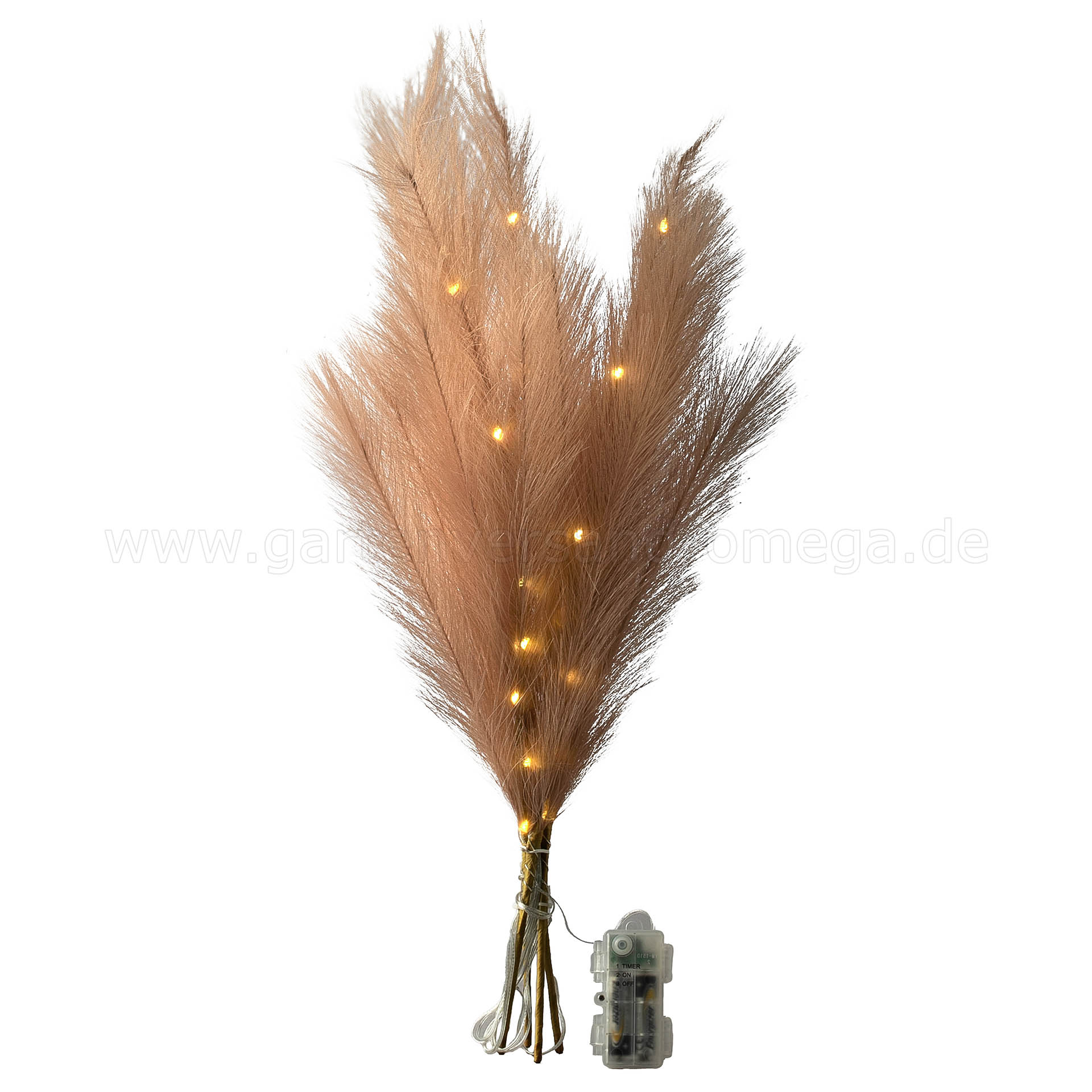 LED-Deko Pampasgras Beige