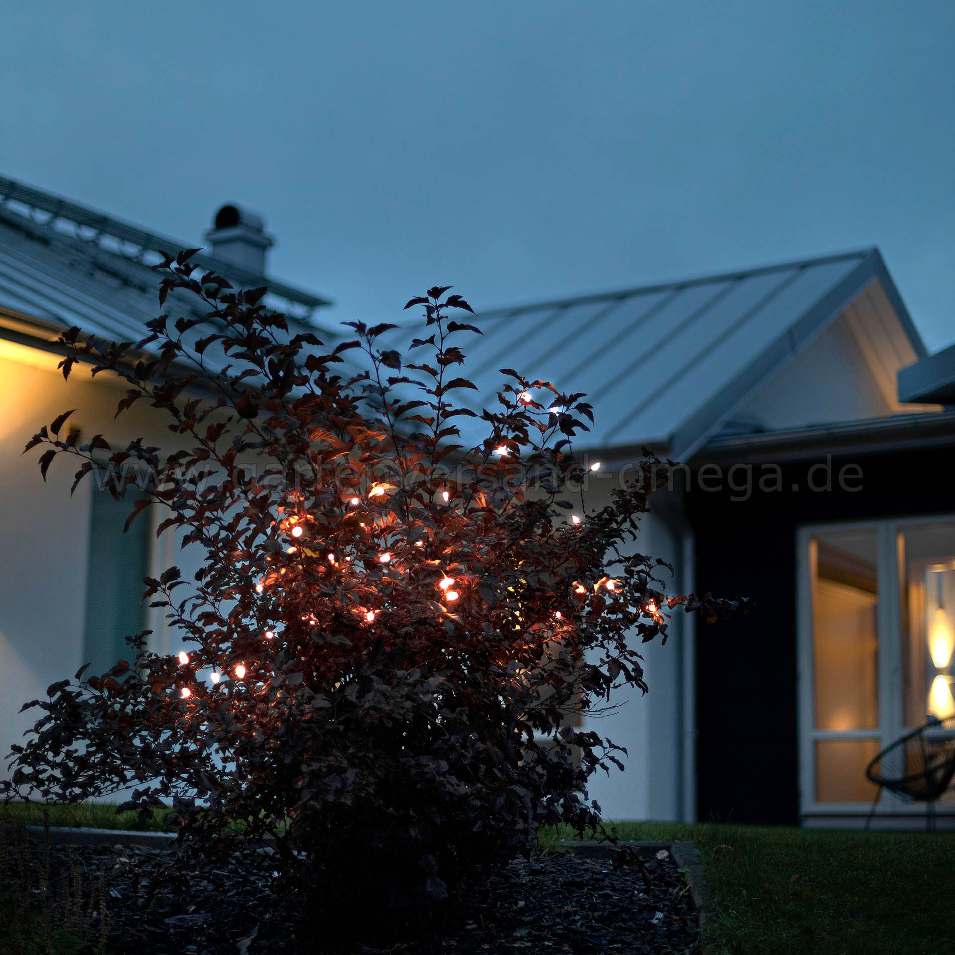 Anwendungsbeispiel Batteriebetriebene LED Mini-Lichterkette für Außen Bernsteinfarben