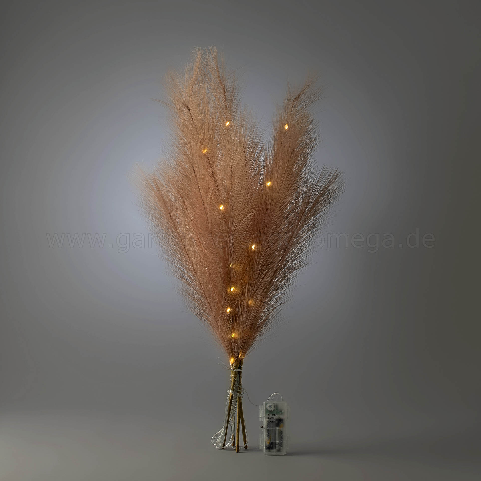 LED-Deko Pampasgras Beige - Beleuchtetes Pampasgras natur