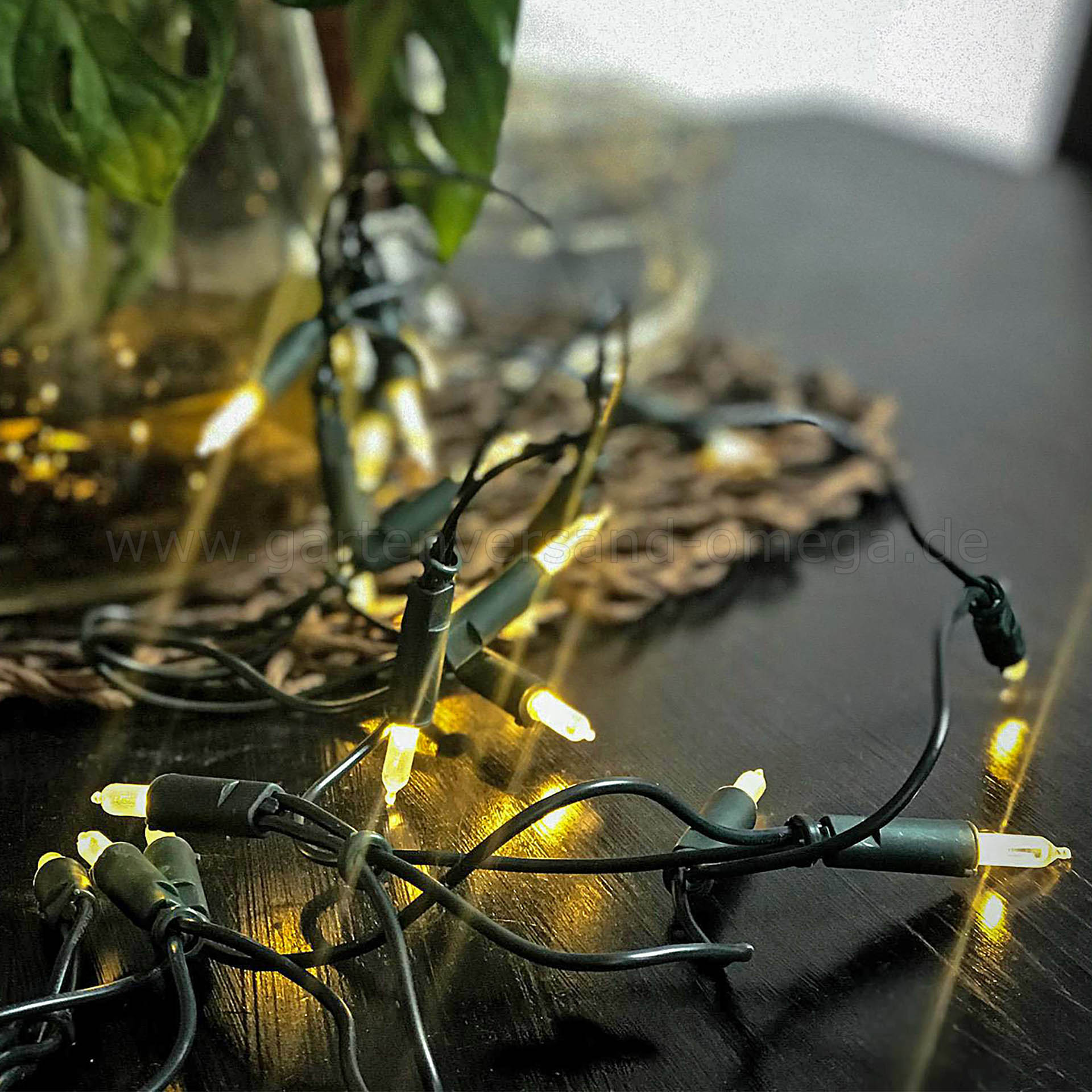 LED Mini-Lichterkette für Innen