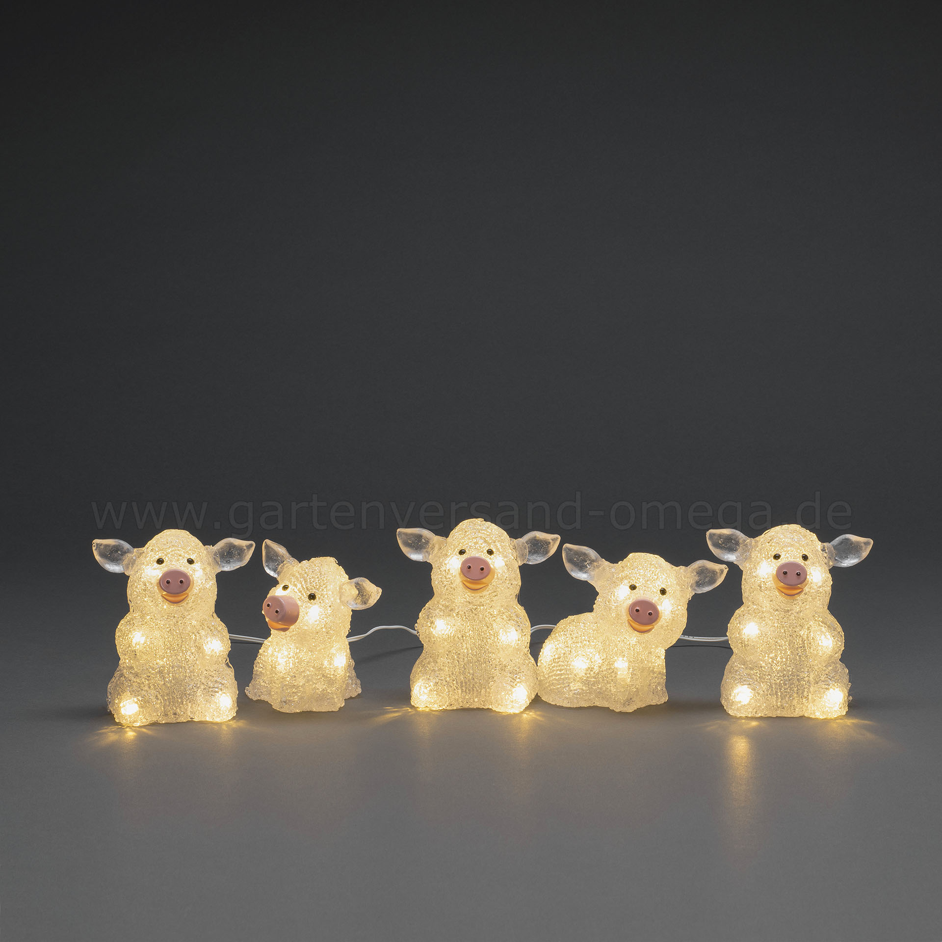LED-Acryl Schweinchen